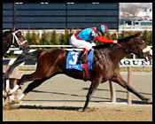 Sunday Break Heads Peter Pan; Springboard for Belmont Sunday Break Heads Peter Pan; Springboard for Belmont