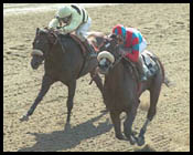 Sunday Break's Turf Debut Set in Arcadia Sunday Break's Turf Debut Set in Arcadia