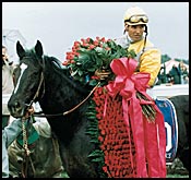 Sunday Silence Still Fighting; Insurance Vet Exam on Monday Sunday Silence Still Fighting; Insurance Vet Exam on Monday
