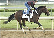 Steve Haskin's Derby Report: Strange Morning at the Track Steve Haskin's Derby Report: Strange Morning at the Track