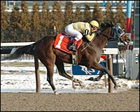 Lopez Bags 3,000th Career Win in Aqueduct Race Lopez Bags 3,000th Career Win in Aqueduct Race
