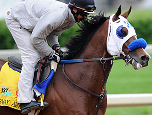 Sway Away Gets His Chance in Preakness
