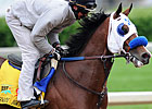Sway Away Gets His Chance in Preakness Sway Away Gets His Chance in Preakness
