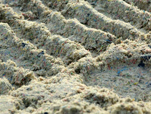 Hollywood Park's Cushion Track Renovated Hollywood Park's Cushion Track Renovated