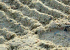 Funding for New Racetrack Surfaces Study Funding for New Racetrack Surfaces Study