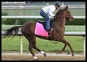 Nafzger Pair Work Toward Oaks Nafzger Pair Work Toward Oaks