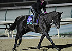 BC Horses: Some Are Headed to Mixed Sales