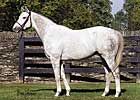 Tapit's Fee Increased to $35,000 Tapit's Fee Increased to $35,000