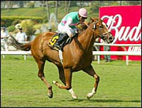 Tates Creek Scratched From Beverly D. Tates Creek Scratched From Beverly D.