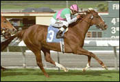 Santa Anita Race Report: Flying Colors Santa Anita Race Report: Flying Colors