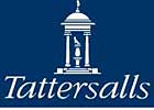Tattersalls Sale Gets Under Way Tattersalls Sale Gets Under Way