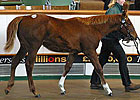 Starcraft Filly Tops at Tattersalls