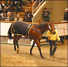 Airwave Tops Tattersalls Session as Numbers Decline Airwave Tops Tattersalls Session as Numbers Decline
