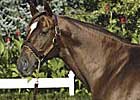Millionaire Tenpins Sires Initial Winner Millionaire Tenpins Sires Initial Winner