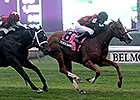Testa Rossi Gets the Nod in Tight Miss Grillo Testa Rossi Gets the Nod in Tight Miss Grillo