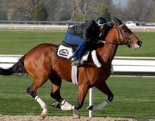 Teuflesberg Expected to Undergo Surgery Oct. 11 Teuflesberg Expected to Undergo Surgery Oct. 11