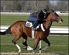 Derby Fever Strikes: Bwana Bull, Teuflesberg Pointed To Classic Derby Fever Strikes: Bwana Bull, Teuflesberg Pointed To Classic