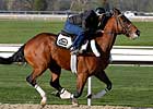 Teuflesberg Expected to Undergo Surgery Oct. 11