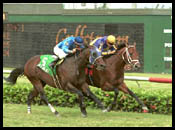 Texas Glitter Wins Race Marred by Spill Texas Glitter Wins Race Marred by Spill