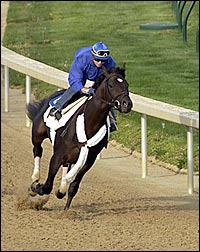 Steve Haskin's Derby Report: The Search Begins Steve Haskin's Derby Report: The Search Begins