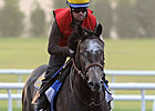Dubai Interview: George Bolton & The Factor
