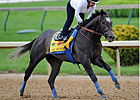 Baffert Happy With The Factor's Outside Post