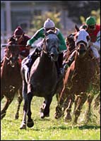 Tijiyr Tops Field for River City Handicap Tijiyr Tops Field for River City Handicap