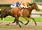 Tiz Elemental Seeks Grade in Las Flores Tiz Elemental Seeks Grade in Las Flores