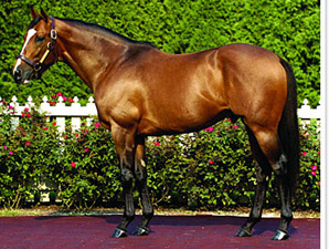 Toccet Racks Up Big Wins