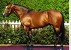 Toccet Racks Up Big Wins