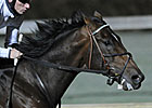To Honor and Serve Pointing Toward Cigar Mile
