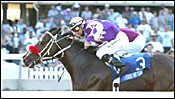 Gulfstream Park Race Report: Cat-Like Quickness Gulfstream Park Race Report: Cat-Like Quickness