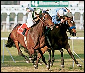 Millionaire Tout Charmant Returned to Training Millionaire Tout Charmant Returned to Training