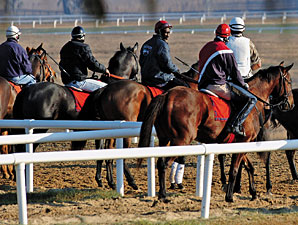Plan Floated for Jersey Training Center Plan Floated for Jersey Training Center