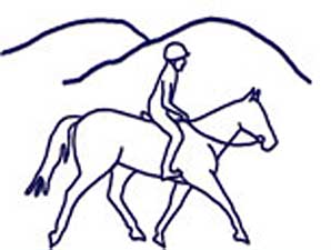 Rescue Effort Seeks Help for 46 Horses Rescue Effort Seeks Help for 46 Horses
