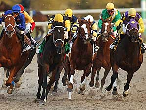 True Metropolitan Wins Autumn True Metropolitan Wins Autumn