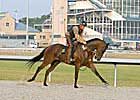 'Polytrack Lab' Turfway Has More Data, Answers