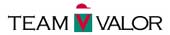 Irwin Buys Siegel's Team Valor Share Irwin Buys Siegel's Team Valor Share