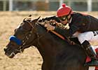 'Two Step' Tries Two Turns in Affirmed 'Two Step' Tries Two Turns in Affirmed