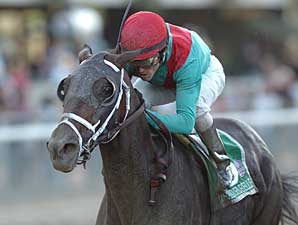 Unbridled Belle to Be Bred to A.P. Indy Unbridled Belle to Be Bred to A.P. Indy