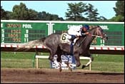 Monmouth Park Race Report: Major Advance Monmouth Park Race Report: Major Advance