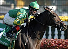 Unbridled Sidney Retired Unbridled Sidney Retired