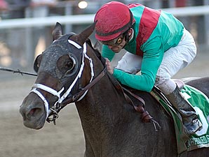 Unbridled Belle Begins Campaign in Obeah Unbridled Belle Begins Campaign in Obeah