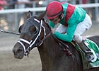Unbridled Belle Begins Campaign in Obeah Unbridled Belle Begins Campaign in Obeah