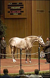 Gross, Median Prices Increase as Keeneland Sale Gets Off to a Healthy Start Gross, Median Prices Increase as Keeneland Sale Gets Off to a Healthy Start