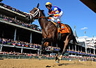 Pletcher's 11 BC Contenders In Good Order Pletcher's 11 BC Contenders In Good Order