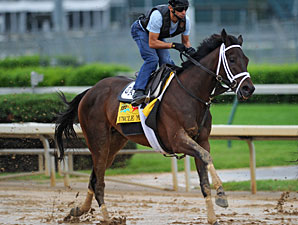Health of Uncle Mo Dominating Derby Talk Health of Uncle Mo Dominating Derby Talk