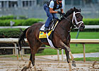 Health of Uncle Mo Dominating Derby Talk