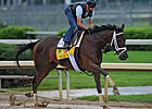 Haskin's Derby Report: Repole's Survivors Haskin's Derby Report: Repole's Survivors