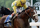 Union Rags Sidelined by Suspensory Lesion Union Rags Sidelined by Suspensory Lesion